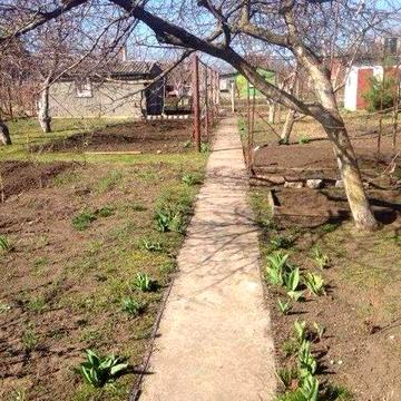 Продам дом-дачу недорого в Светлом, 5 км от Одесси