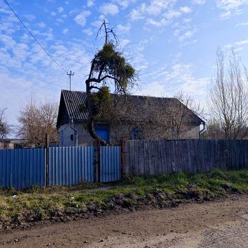 Будинок хата  с. Пліщин