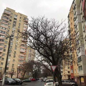 3кімнатна з великим балконом та лоджією у сучасному заселеному цегляному будинку в центрі Одеси. Другий поверх. Приморський район.