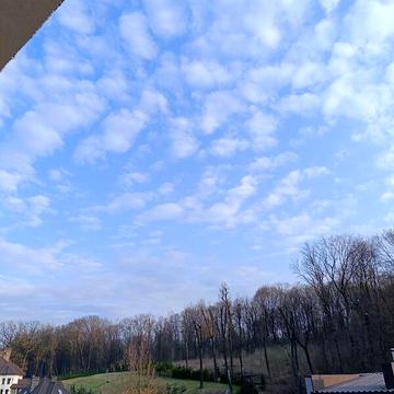 Продаж 4к Дім Лісова (Вел. Гаї) вулиця