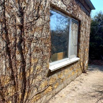 Курсаки Дом мебели Земля 6сот.+2 дома