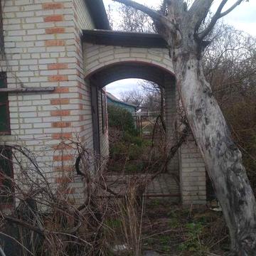 Сдам в аренду дачу, участок земли