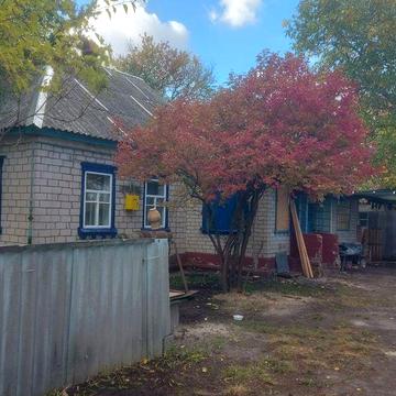 Будинок, Новосанжарський район