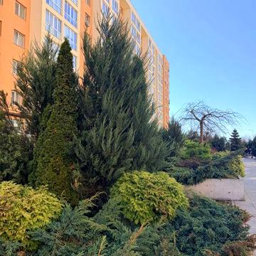 Без комісії велика 2х з документами.ЖК СофіївськаСфера.Держпрограми