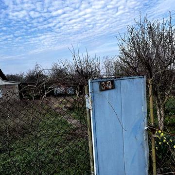 продам дачу в Олексіївці