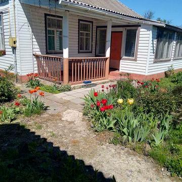 Продам цегляний будинок Чернігівська обл від Києва 90 км