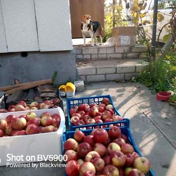 Продается дача суперова на Ст Шляхмашівець