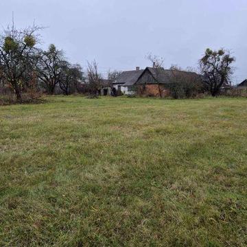 Будинок з земельною ділянкою