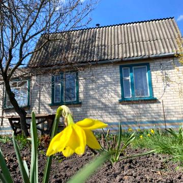 Цегляний дачний будинок 35 м.кв. + мансарда. Поруч сосновий ліс