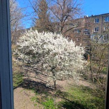 Здається Квартира 2 -х кімнатна