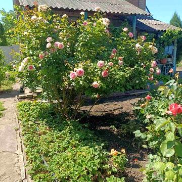 Дача в Кудашево "РУ. Ім.Кірова" До міста 20 км.