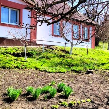 Продається будинок в селі Макіївка. Білоцерківського району.