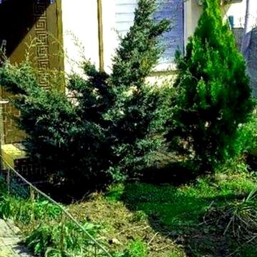 Сдам дом 3 ком. Малиновского/Копейка , животных можно,2 авто во дворе!