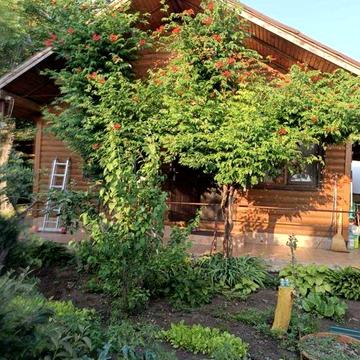 Эксклюзивный загородный дом премиального уровня Новая Дофиновка!