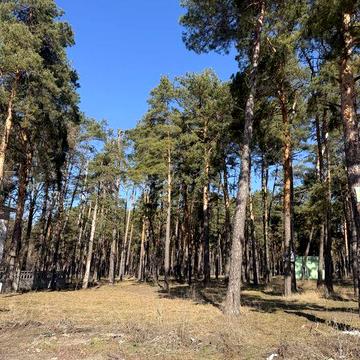 Большая квартира рядом с парком «Еловщина» ЖК Лесной