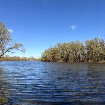 біля ДЕСНИ Продаж дачи Жавинка
