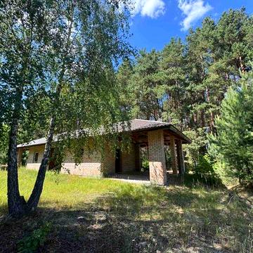 Будинок у сосновому лісі з земельною ділянкою 1 га