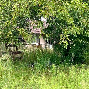 Оренда одноповерхового будинку