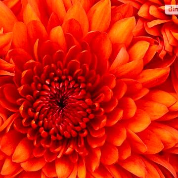 Продаж 6к Дім Дружби