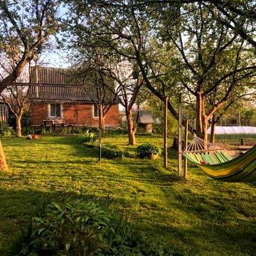 Продам дачу в с/т "Граніт", Київська обл.,Васильківський р-н,Борова