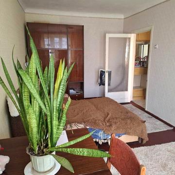 Оренда Центр 1 кімнатна