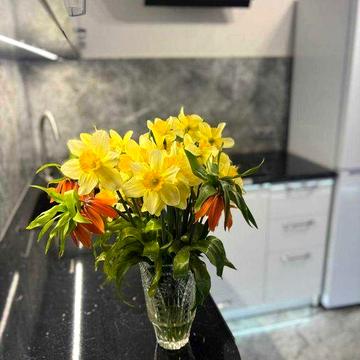 Аренда 1-ком. квартиры 35,9 кв.м  ЖК Зодиак