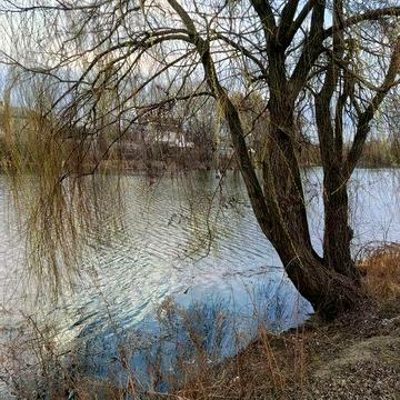 Здам однокімнатну квартиру в приватному будинку довгостроково Райдужни