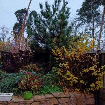 Оренда таунхауса в лісовій частині Бучі. Вартість 900 евро.