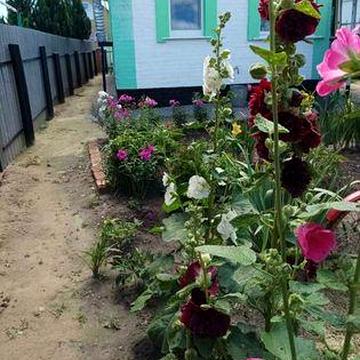 Продам будинок ,ціна 20000$