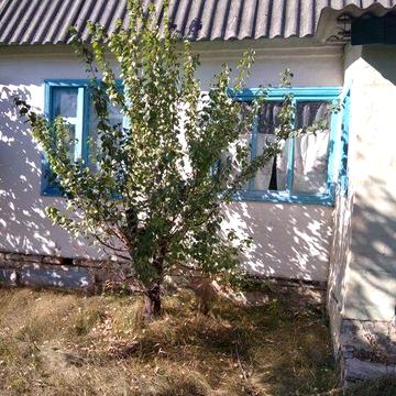 Літній Садовий будинок, дача