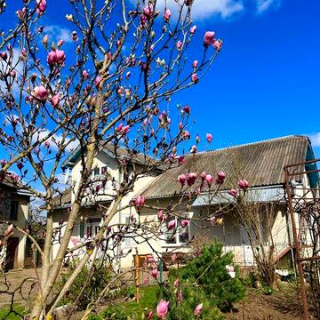 Продається будинок. Опришівці. Місто Ділянка 20 сот. Свердловина. Міські комунікації. Під будівництво