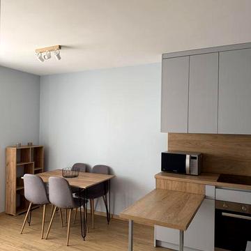 Оренда сучасна 1 к квартира Київ метро Теремки 15 хвилин, Генератор!