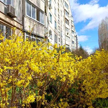 1к.кв. 4/9 , пр.Тракторобудівників (404953)