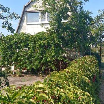 Продам дачный дом в жилом состоянии с запасом дров на зиму