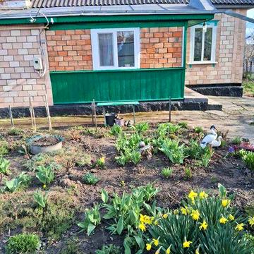 Будинок у центрі м.Корсунь-Шевченківський(біля центрального ринку)