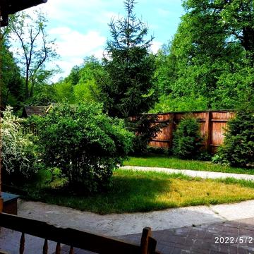 Оренда будинку в лісі