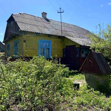 Продам будинок в с. Доротище, 25 соток землі від власника
