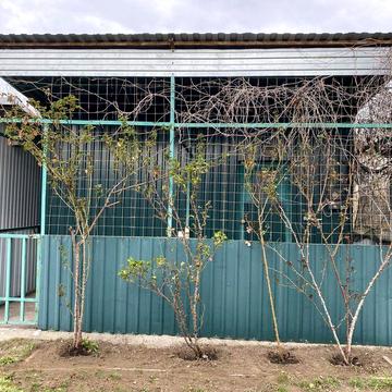 Бокс на причале 5/1