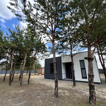 Будинок біля лісу серед сосен