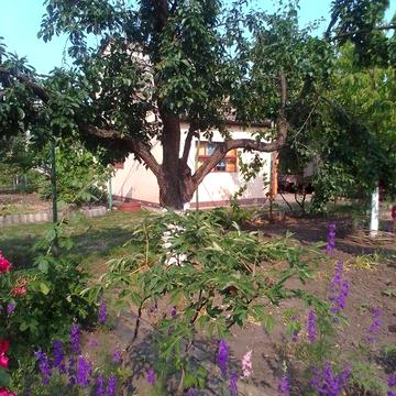 Продам небольшой домик с условиями.