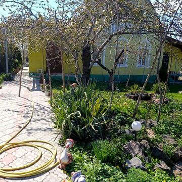 Продаю два будинки під одним дахом