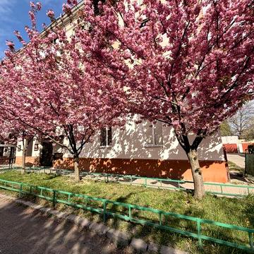 Квартира в центрі Мукачева