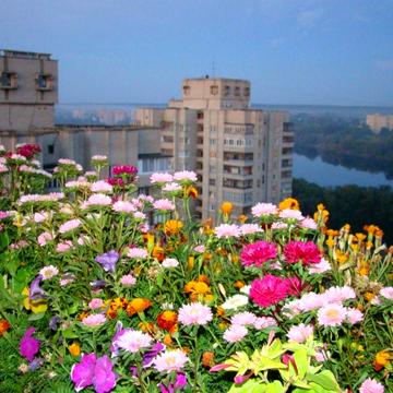 Дворівнева квартира (Пентхаус) в центрі міста