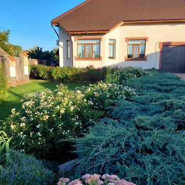 Продаж від власника . Продам будинок   в Ц-міському р