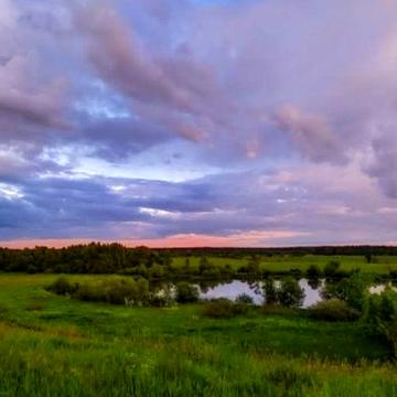 Продам будинок в мальовничому місці, с.Киріївка, Чернігівська обл.