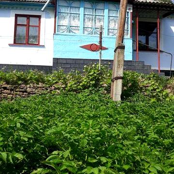 Продам 3-кімнатний будинок в селищі Криштофівка Могилів-Подільського району Вінницької області