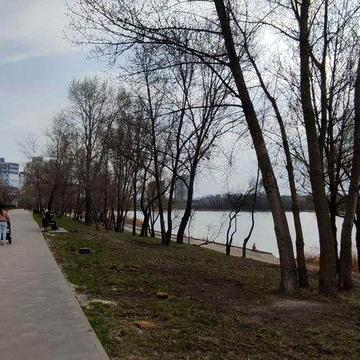 Оболонь ( метро = 800 м.), вул. Йорданська ( Лайоша Гавро ) 9 Є, вид на  озеро .