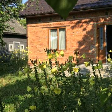 Господарство в селі Камяна