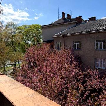 Оренда 3 ох кім на  набережній ‼️