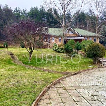 Оренда будинку під лісом. Вишеньки